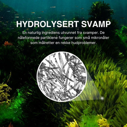 Lunaria Éndags Eksosom-Shot Poreampulle